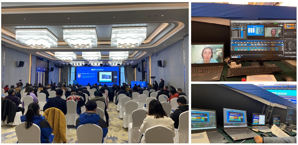 自建AI翻译平台的成本，究竟需要多少钱